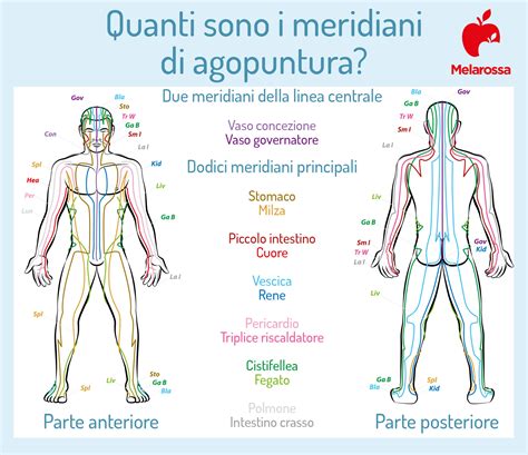 Illustrazione di un paziente sotto trattamento di agopuntura per l'ansia
